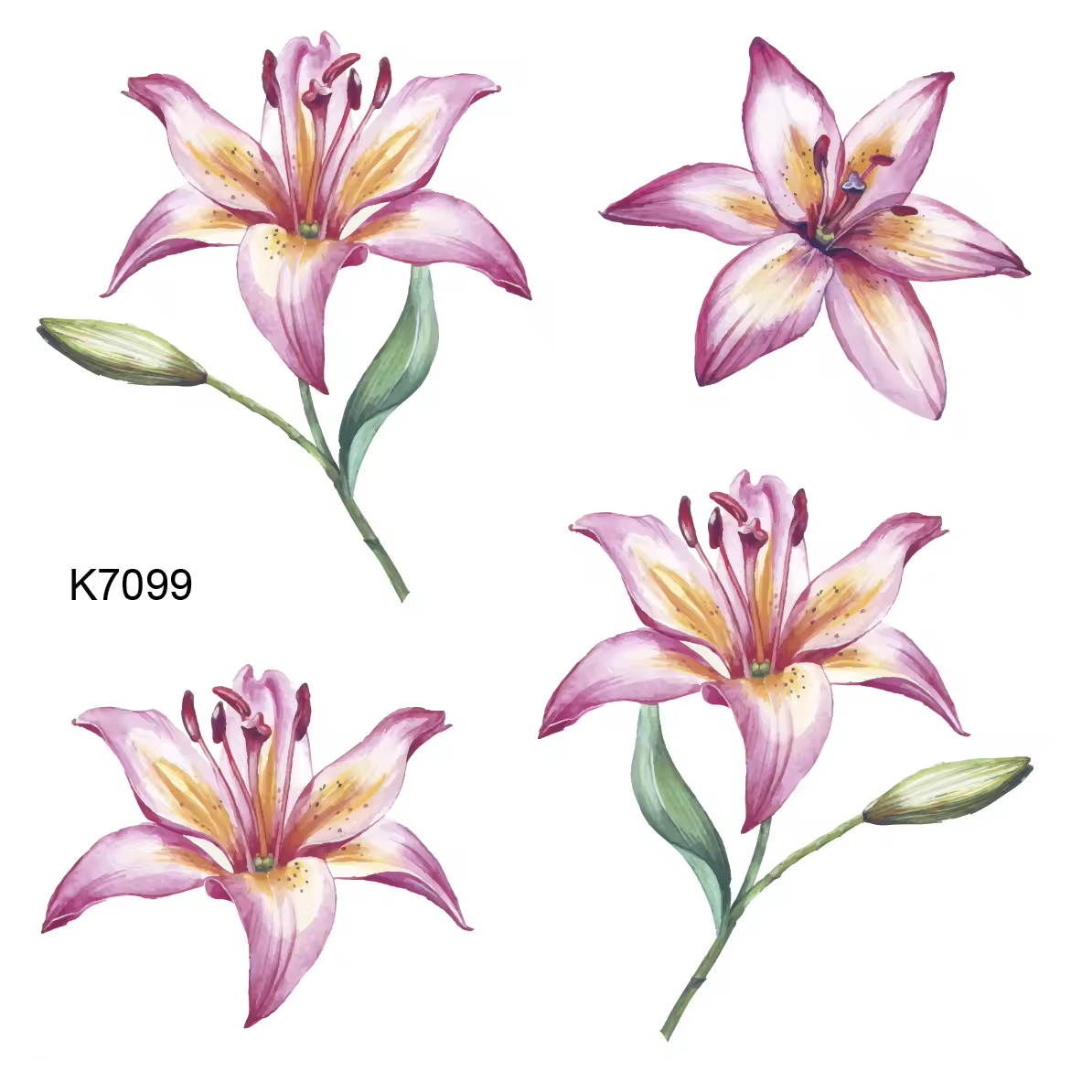 K7099 temporary tattoo sheet from the Nature Lines collection