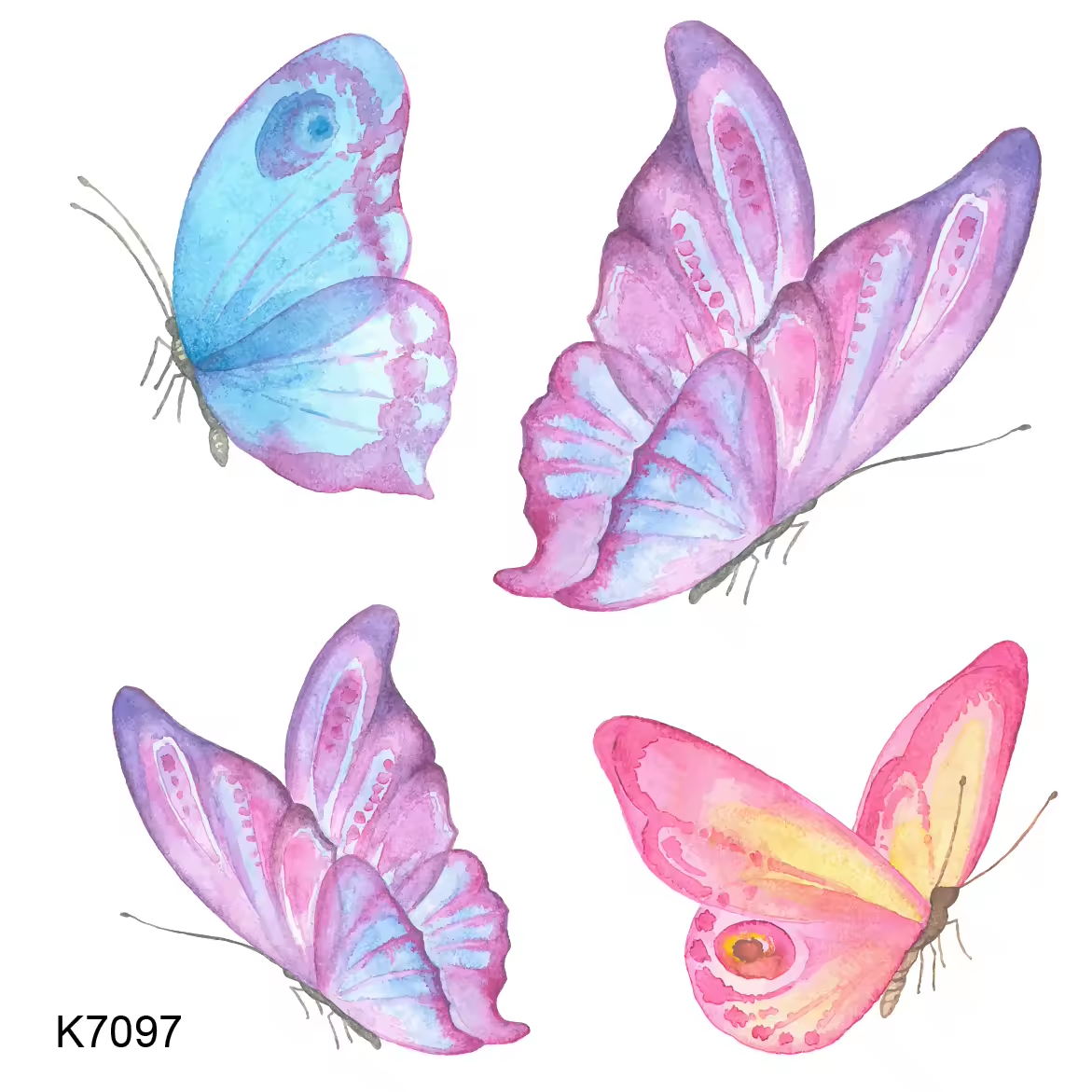 K7097 temporary tattoo sheet from the Nature Lines collection